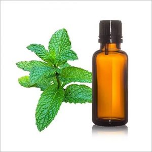 mentha oil